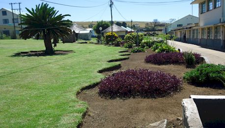 Hospital grounds